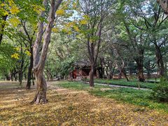 -国家植物园南园