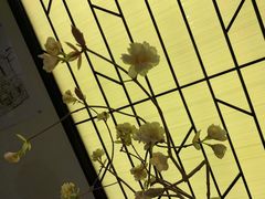 -小厨娘淮扬菜(六合欢乐港店)