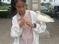 -天津妈祖文化园