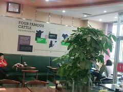 大堂-李先生牛肉面大王(营口大润发店)