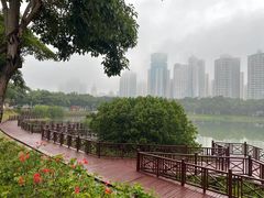 -万绿园
