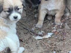 -休门咖啡(黄泥崖店)