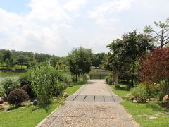 -东莞植物园