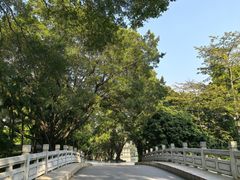 -荔湾湖公园