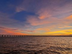 -宝安西湾红树林湿地公园