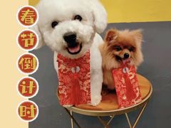 -宠物之家Pets Home 宠物寄养酒店
