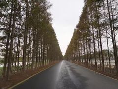 -上海长兴岛郊野公园