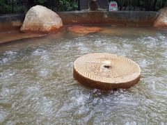 -西安国际创新人才交流中心•药浴温泉