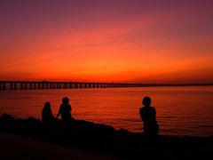 -宝安西湾红树林湿地公园