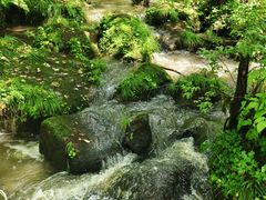 -五营红松林海景区