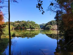 -广州市石门国家森林公园