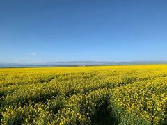 -青海湖国家重点风景名胜区