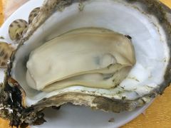 -蚝专家(北滘店)