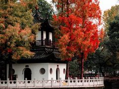 -汇龙潭
