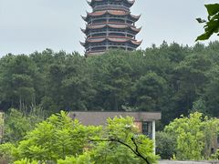 -铁山坪森林公园