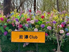 -沂蒙云瀑洞天景区