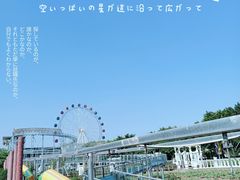 -百万葵园