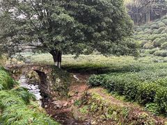 -杭州西湖风景名胜区-三生石