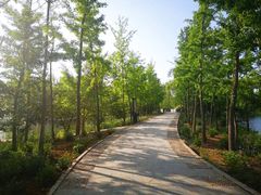-石家庄市植物园