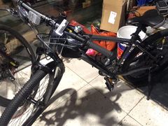 -道路口单车爱瓦士dahon大行