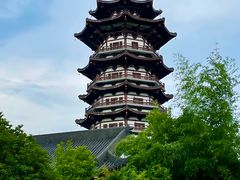 -洋湖国家湿地公园
