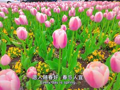 -上海辰山植物园