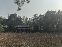 -房湖公园