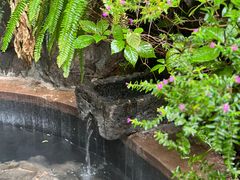 -腾冲洞山温泉村