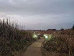 -涉地可支