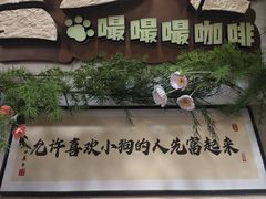 -星多哈·狗咖·拼豆·咖啡