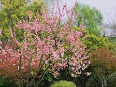 -杭州黄龙洞