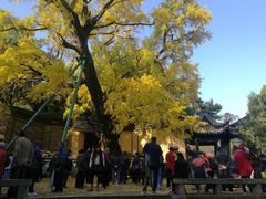 -无锡惠山寺