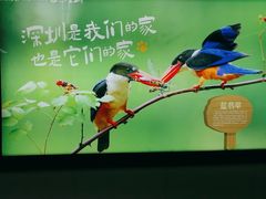 -大剧院(地铁站)