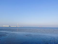 -上海吴淞炮台湾国家湿地公园