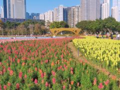 -海心沙亚运公园