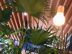 -gaga(深圳福田星河COCO Park店)