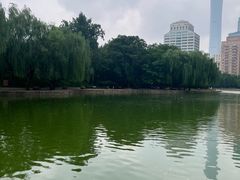 -团结湖公园