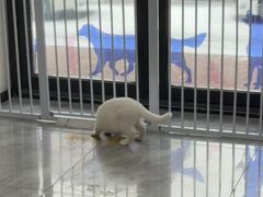 -宠颐生宠物医院·综合诊疗(先锋分院)