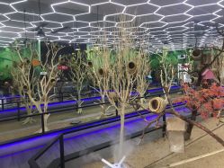 -未来动物城主题公园(正弘城店)