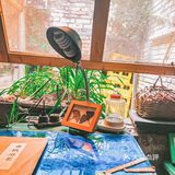 🆘听说这书屋是肖战儿时的记忆！