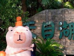 -天目湖山水园