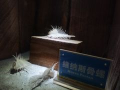 -南昌海洋公园