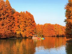 -上海海湾国家森林公园