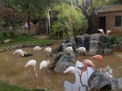 -昆明动物园