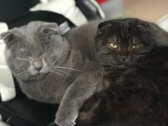 -北京雄鹿运动中心