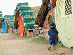 -武汉紫薇都市田园