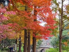-莹珠阁·私房菜