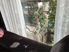 上海雅悦酒店-上海艾本精品酒店