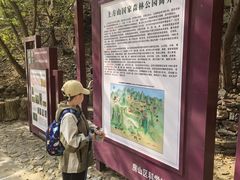 -北京上方山国家森林公园