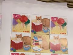 -猫的天空之城概念书店(束河店)